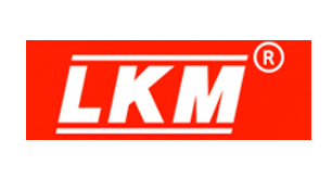 中國香港龍記LKM標準模架